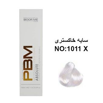 رنگ مو سایه خاکستری بورمی1011x Boorme