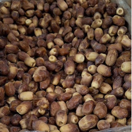 خرمای زاهدی65