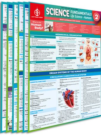 پوستر مطالعه سریع مبانی علوم زندگی انسان2
