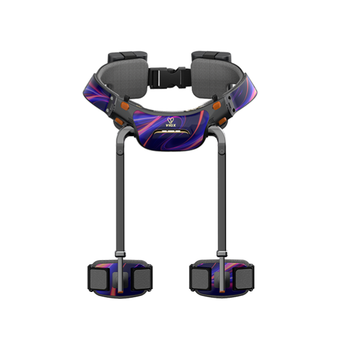 اسکلت بیرونی VIGX مدل پی