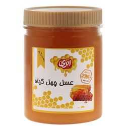 عسل چهل گیاه 1 کیلو