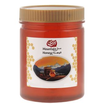 عسل کوهستان 1000 گرمی