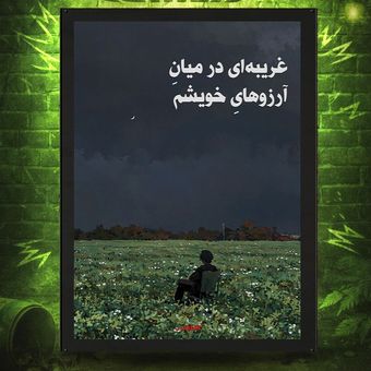 پوستر غریبه ای در میان آرزو های خویشم