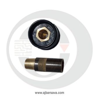 فیش باکالیت