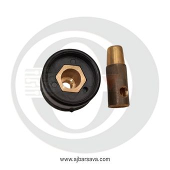 فیش باکالیت