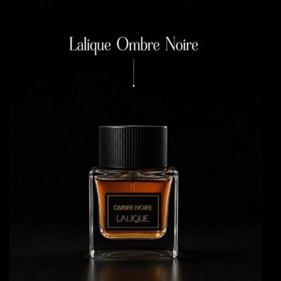 عطر ادکلن لالیک امبر نویر 100 میل اورجینال Lalique Ombre Noire