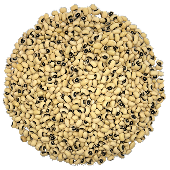 محصول چشم بلبلی