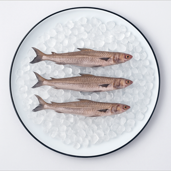 ماهی حسون (استیک)