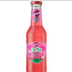 نوشابه گازدار کاکتوس شیشه 250 سی سی/ بسته 12 عددی