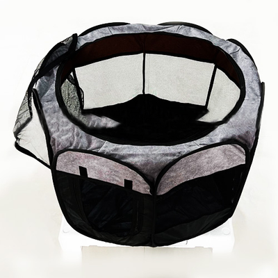 پارک بازی و مسافرتی حیوانات خانگی