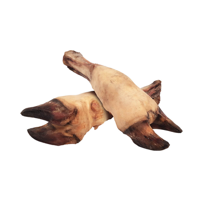 تشویقی پاچه گوساله متوسط مناسب سگ