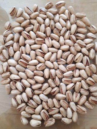 پسته فندقی 10 کیلوگرم