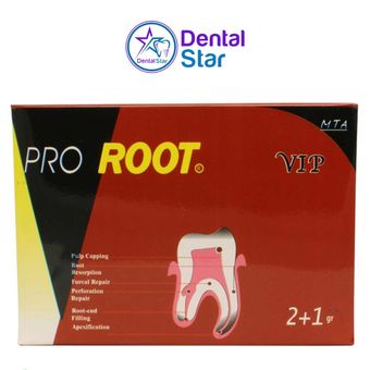 پودر ام تی ای سینا Cina Cement MTA