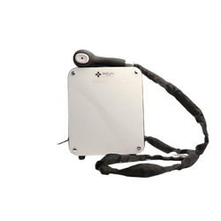 پیکو استیم هالیزا