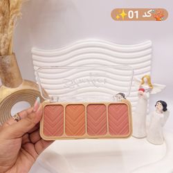 پالت رژ گونه 4 تایی برند دی سل